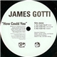 James Gotti - How Could You / Raise 'Em Up
