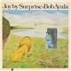 Bob Ayala - Joy By Surprise