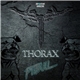 Thorax - Pitbull