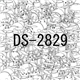 Usual Name - DS​-​2829