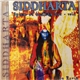 Ravin - Siddharta: Spirit Of Buddha Bar Vol.3