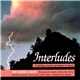 Steven Gruskin - Interludes (Thunder And Rain)