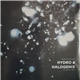 Hydro & Halogenix - Disillusioned / Trieste
