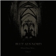 Blut Aus Nord - What Once Was... Liber I