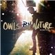 Owls By Nature - The Great Divide