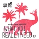 Balearic Gabba Soundsystem - What You Really Need EP