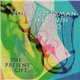 The Joel Futterman Ike Levin Duo - The Present Gift