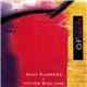 Andy Summers / Victor Biglione - Strings Of Desire