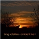 Bing Satellites - Ambient Live 1