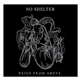 No Shelter. - Reign From Above