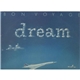 Bon Voyage - Dream