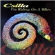 Csilla - I'm Riding On A Wave