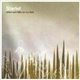 Starlet - When Sun Falls On My Feet