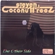 Steven & Coconut Treez - The Other Side