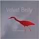Velvet Belly - The Landing